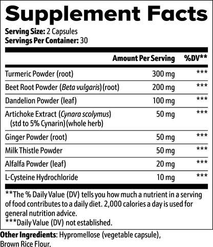 Armor | Premium Liver Support